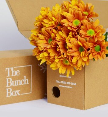 Chrysanthemum Candella Orange