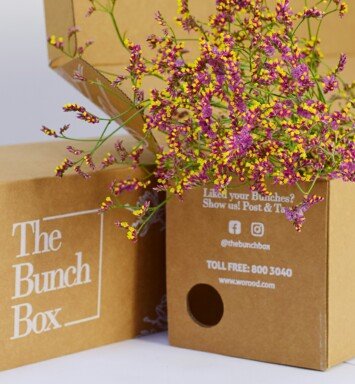 Limonium Safora China Red