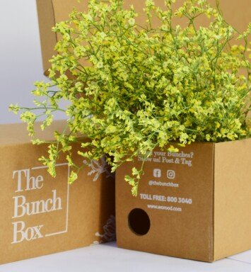 Limonium Safora China Yellow