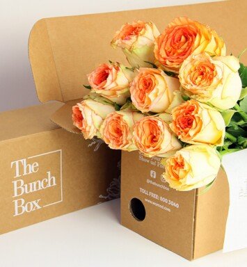 Garden Rose Colloseum orange