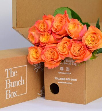 Rose Confidential Orange