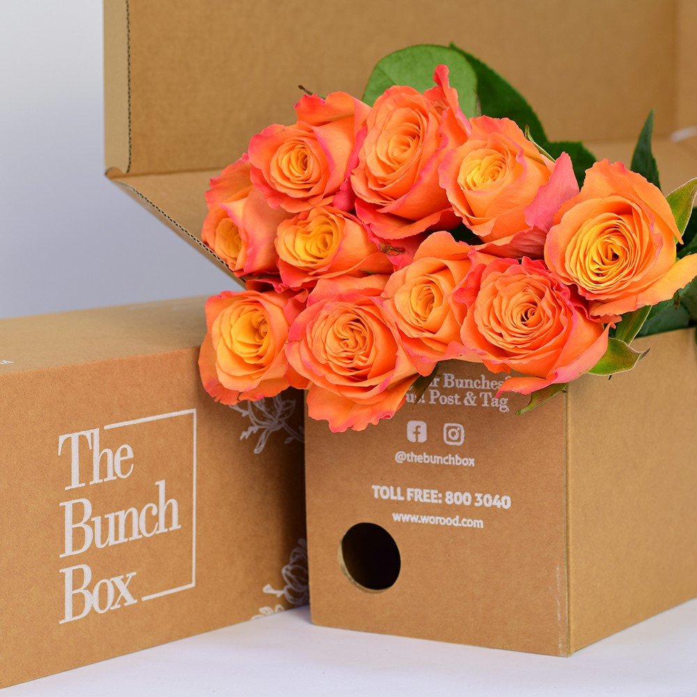 Rose Confidential Orange