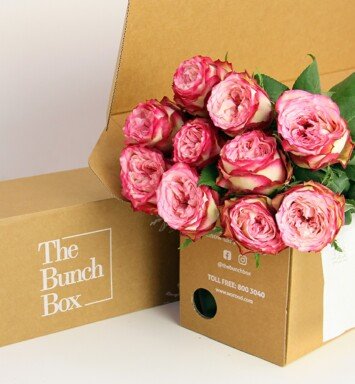 Garden Rose (Glendora SH) Pink