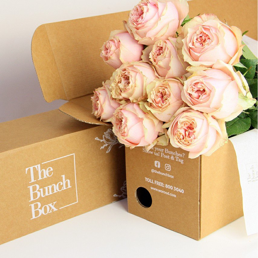 Garden Rose (Foxy Lady) Peach