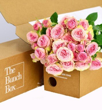 SPRAY ROSE DINARA BABY PINK