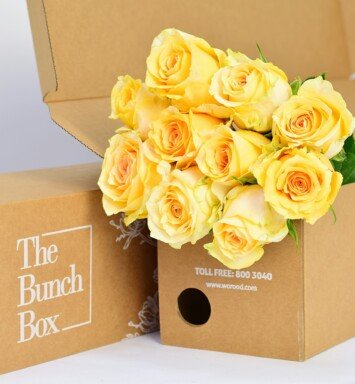 Garden Rose Golden Temple Orange