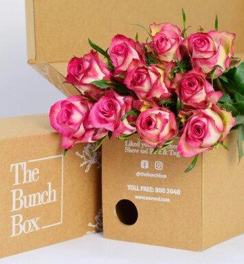 BigHead Rose Imagination Hot Pink