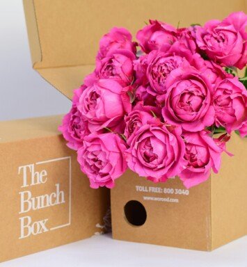 GARDEN SPRAY ROSE JULIETE CERISE