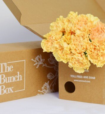 Carnation Hermes Light Orange