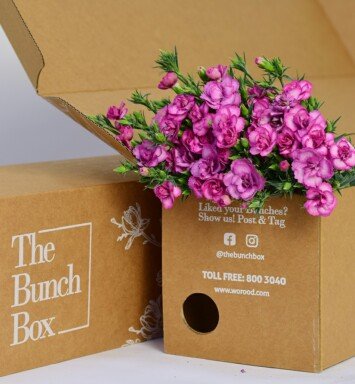 Sweet Williams Lucy Dark Pink