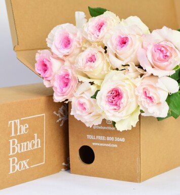 MANDALA PINK BIG HEAD