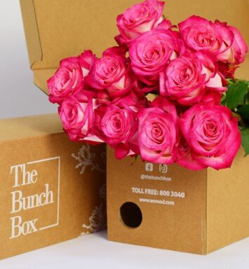 Rose Navara Cream With Pink Border