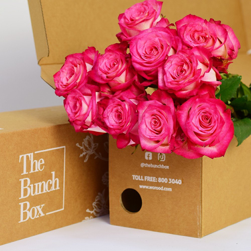 Rose Navara Cream With Pink Border