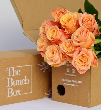 Rose Olympus Light Orange