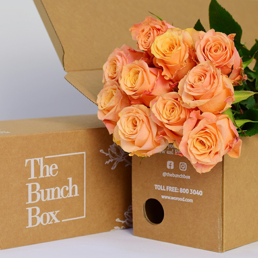 Rose Olympus Light Orange