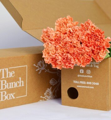 Carnation Hermes Orange