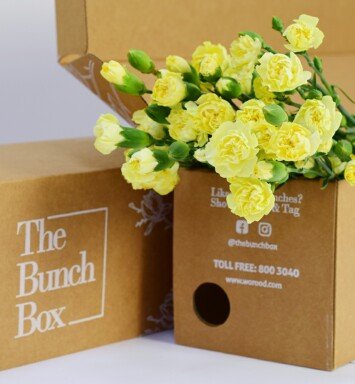 Spray Carnations Yellow