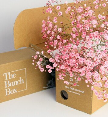 Gypsophila Coloured Pink