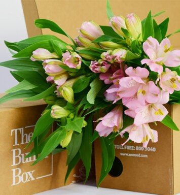 fresh leaves & flower bouquet