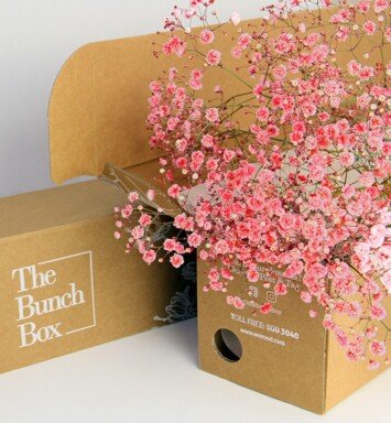 Gypsophila Coloured Red