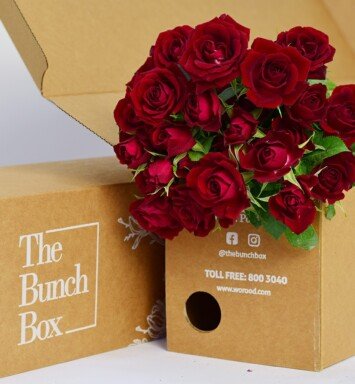 Spray Rose Rubicon Red