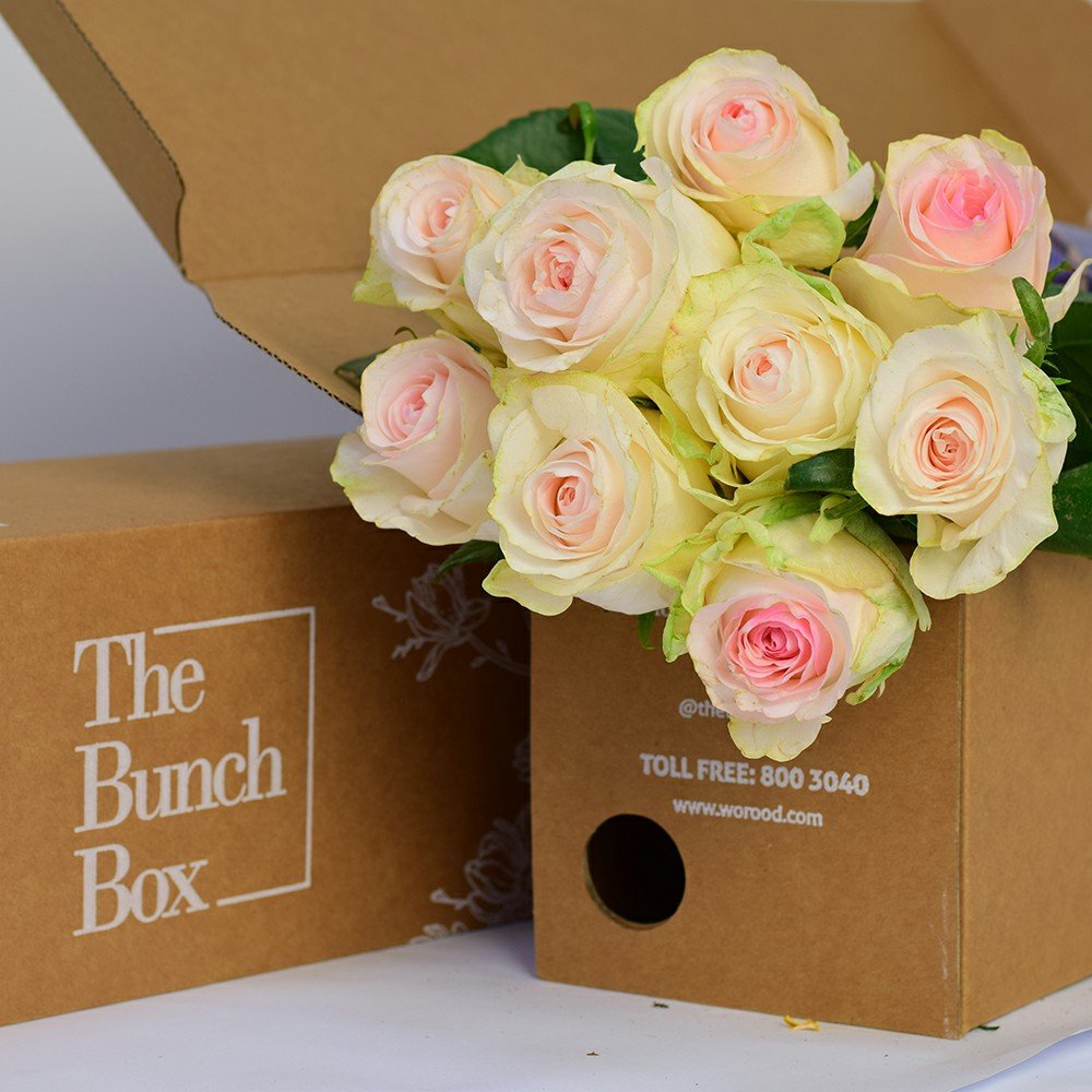 Rose Senorita Cream with pink centre