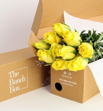 Garden Rose Sunchaser Yellow