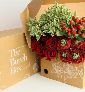 THEODORA RED BUNCH MIX