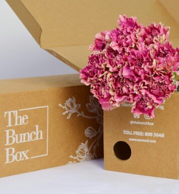 Carnation Viper Wine