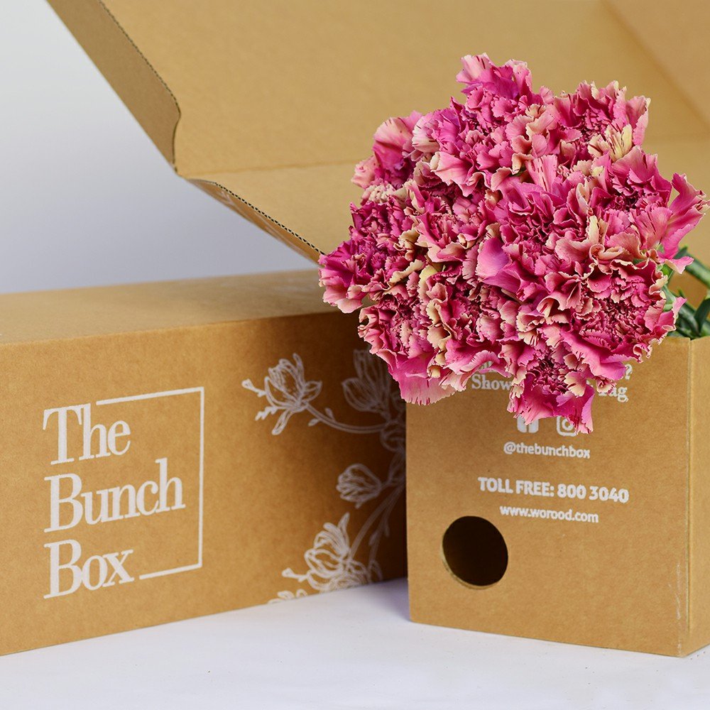 Carnation Viper Wine