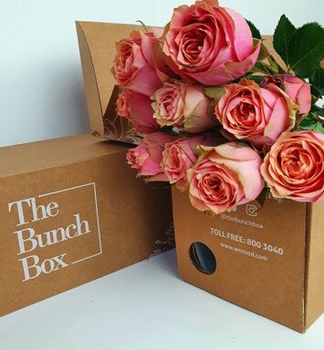 Garden Rose Wild Look Pink