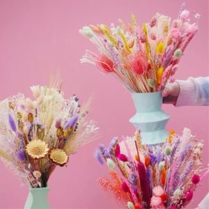 Seasonal Subscription