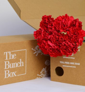 DON PEDRO RED CARNATION