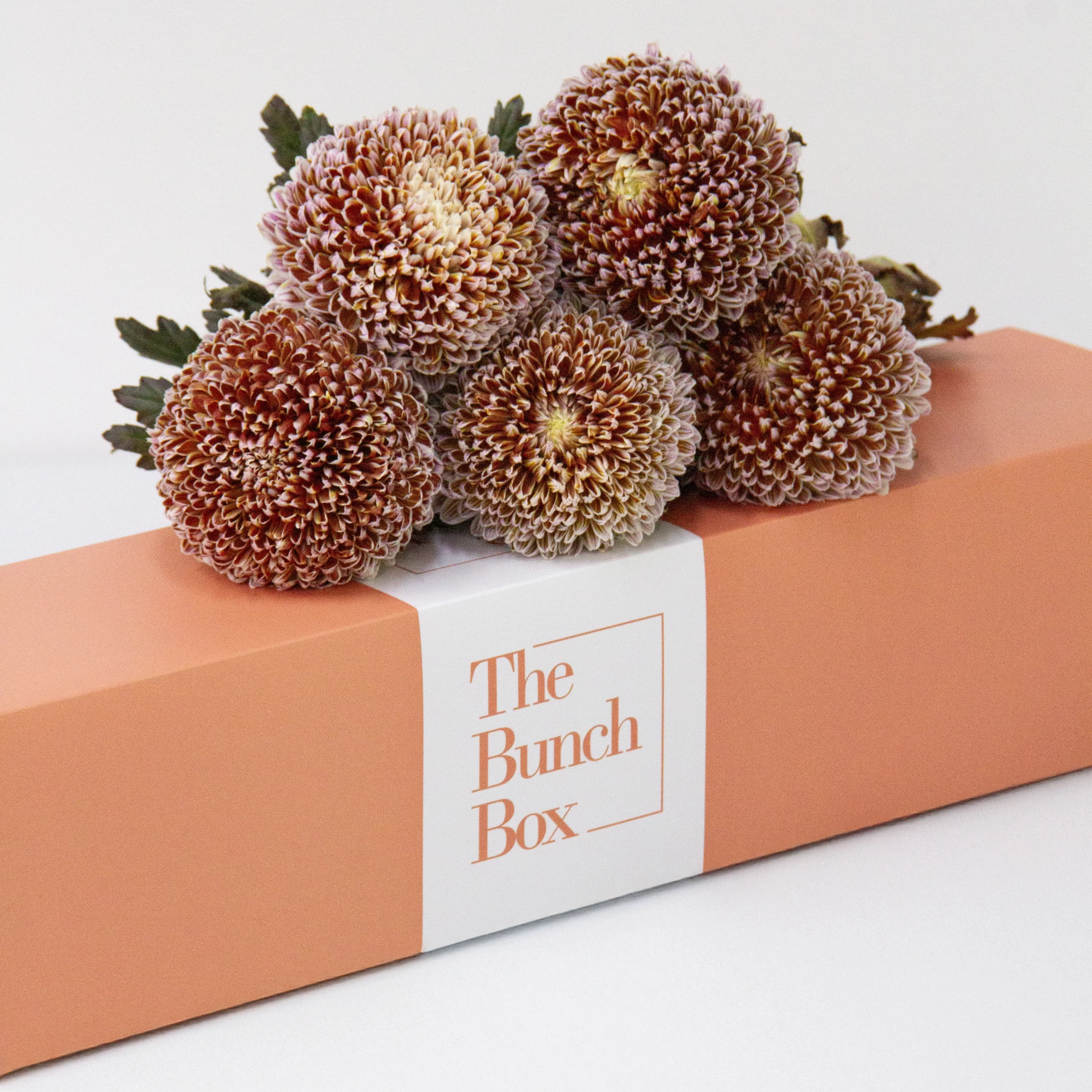 Terra Bloom Box