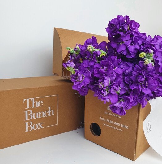 The Bunch Box Matthiola Iron Purple