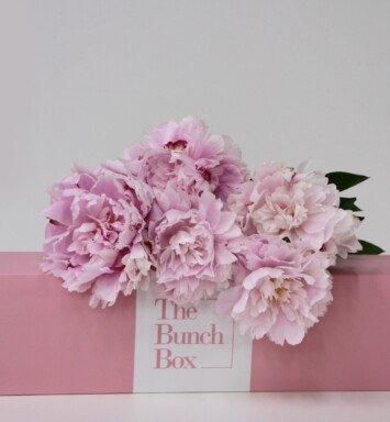 The Bunch Box Peony Pink