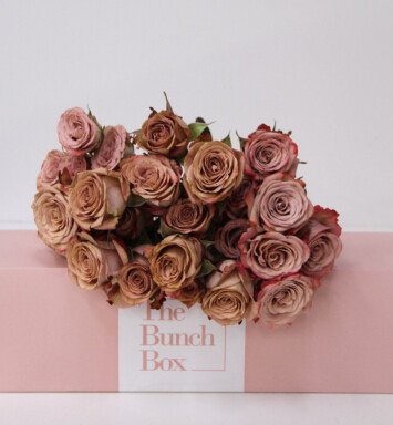The Bunch Box Rose Cappuccino00