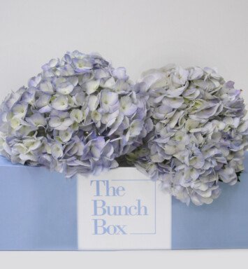 The Bunch Box Hydrangea Lavender