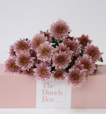 The Bunch Box Chrysanthemum Spray Sorbet Berry