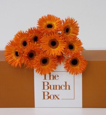 The Bunch Box Gerbera Mini Leroy