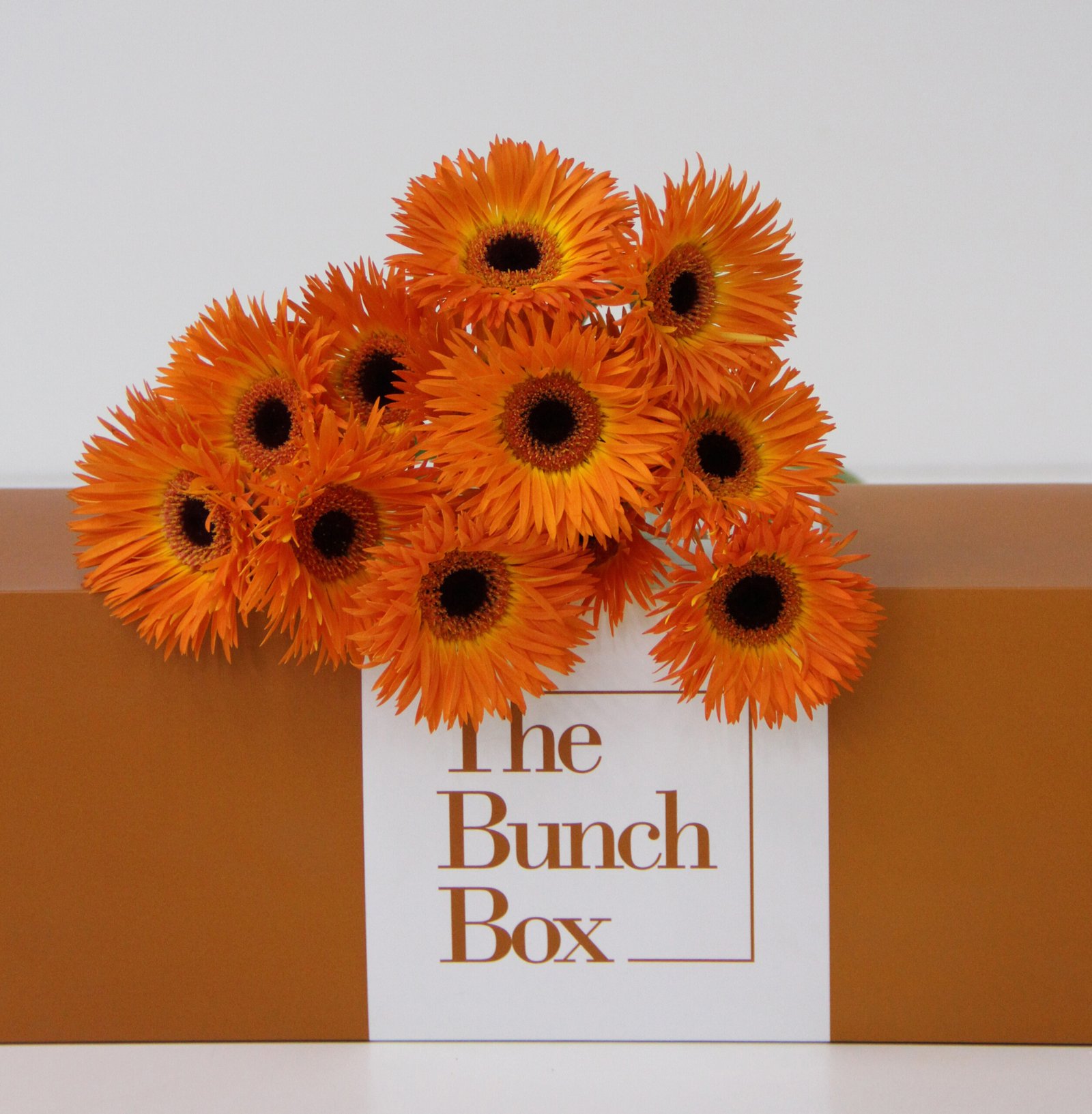 The Bunch Box Gerbera Mini Leroy