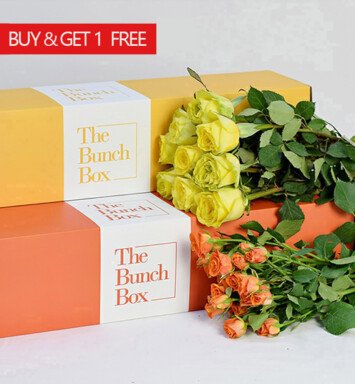 The Bunch Box Duo Bunch Astrid