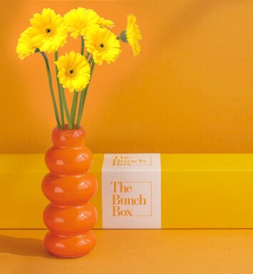 Radiant Yellow Gerberas