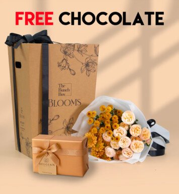 The Friendship Bundle